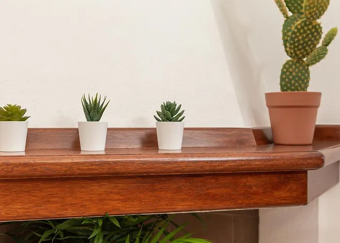 Апартаменты Sa Montera Санта-Мария-Наварезе